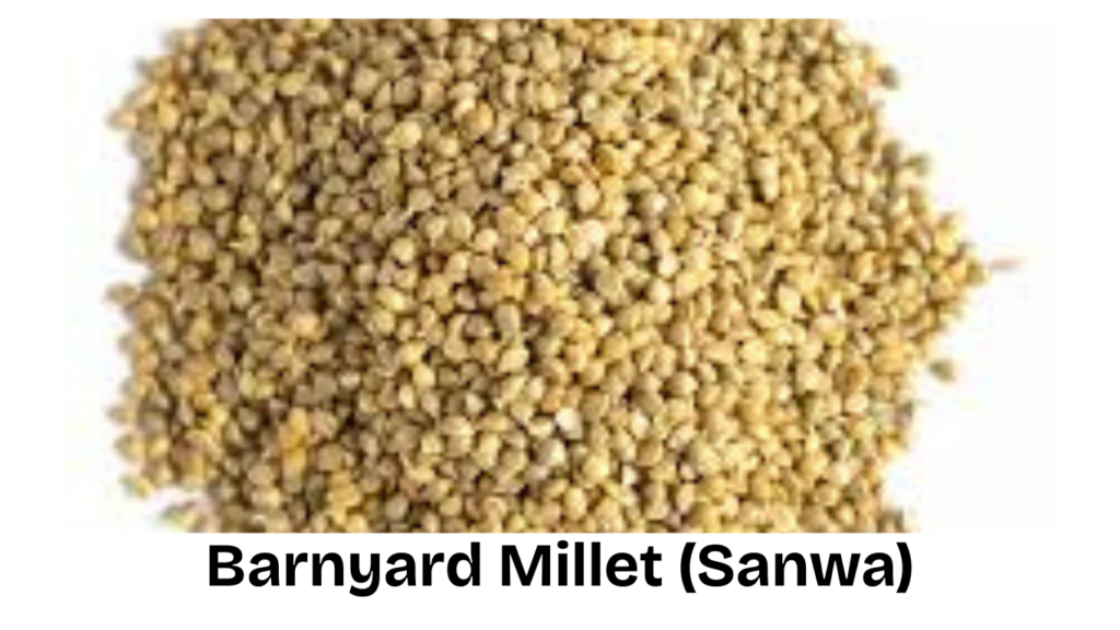 Barnyard Millet - Sanwa