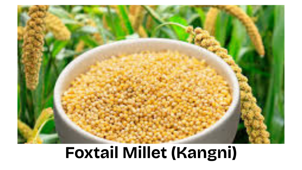 Foxtail Millet - Kangni