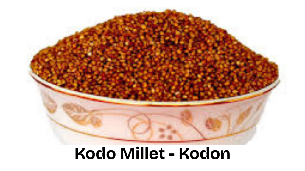 Kodo Millet - Kodon