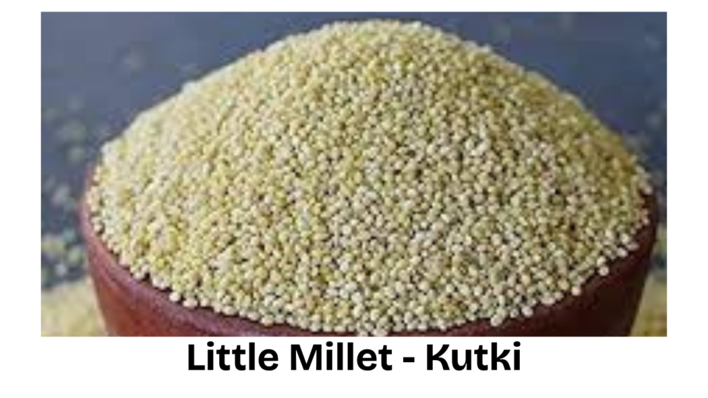 Little Millet - Kutki