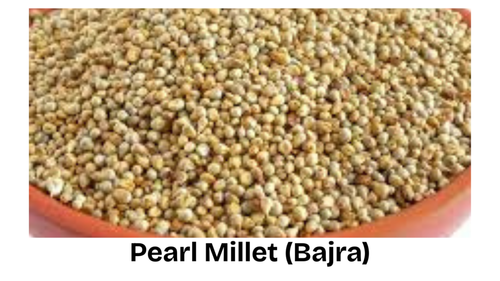 Pearl Millet - Bajra