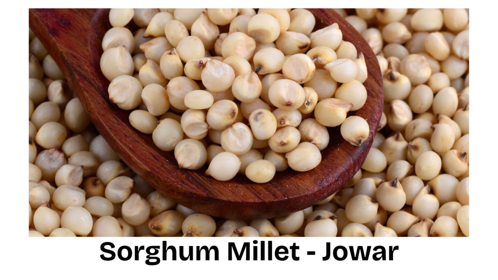 Sorghum-Millet-Jowar